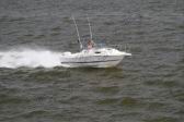 IMG_0455 (1024x683).jpg